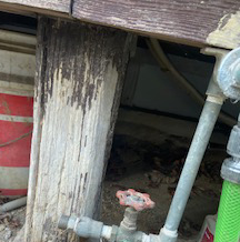 古民家実家の現在の縁側下の画像